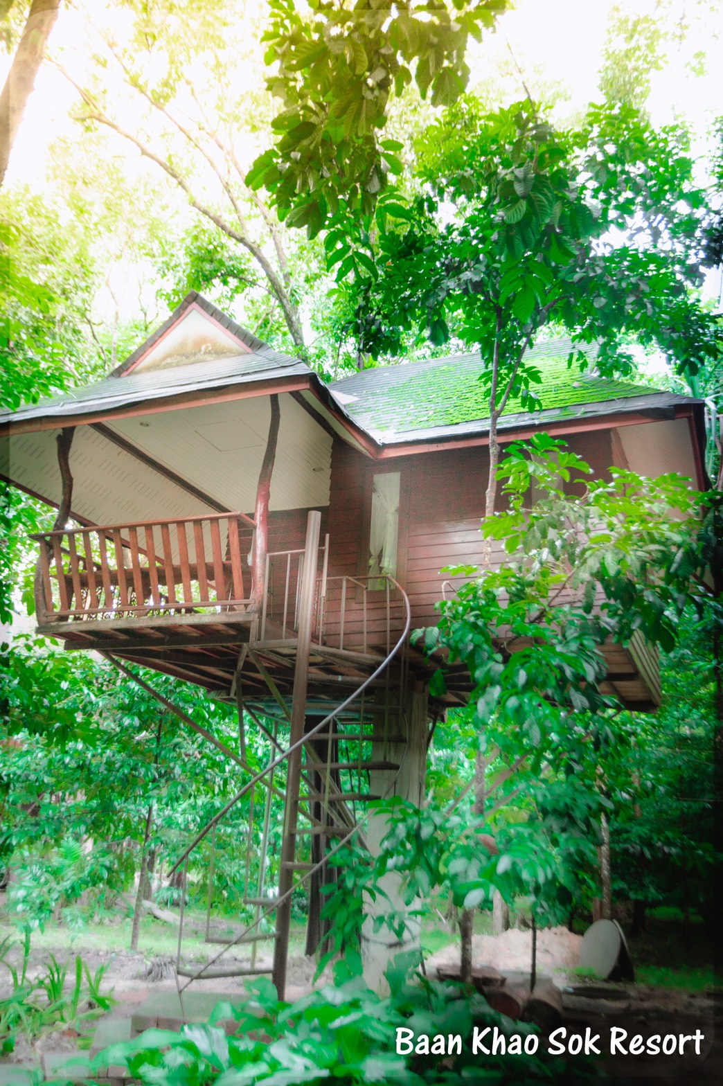 khao sok national park tree house